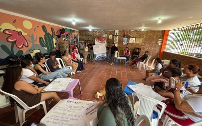 Fase: Implementacion proyecto Asistencia Multidimensional para los desplazados internos y migrantes.